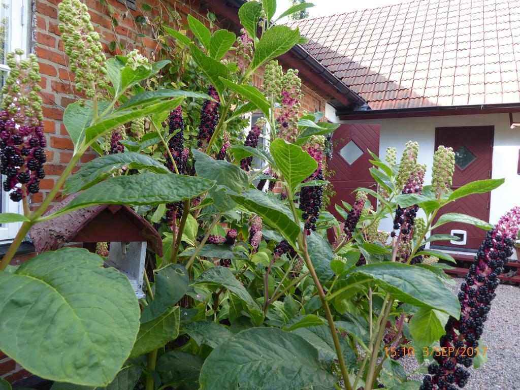 Akarpsvaegen Vacation Home Треллеборг Экстерьер фото